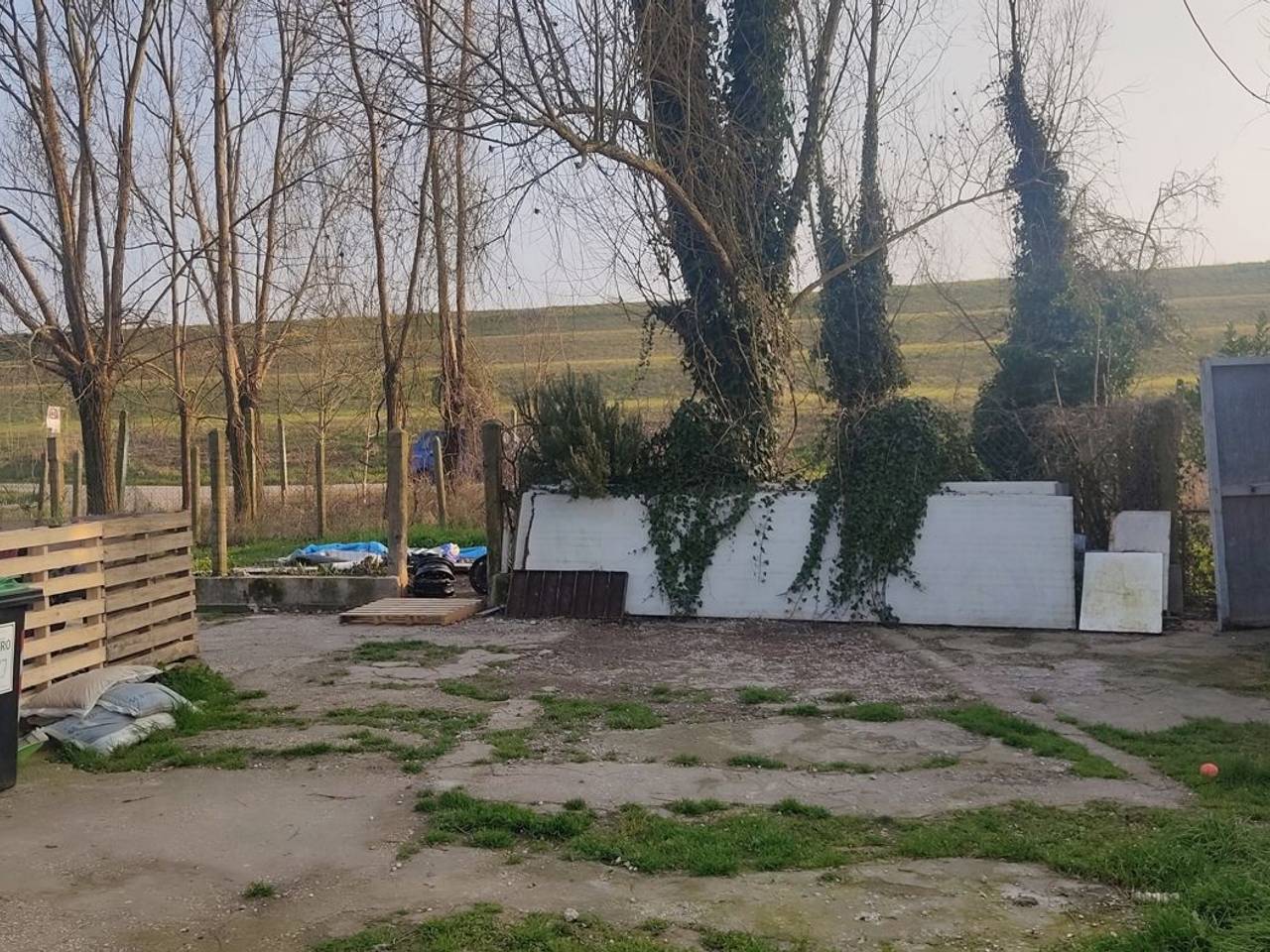 immagine annuncio 10 di 14