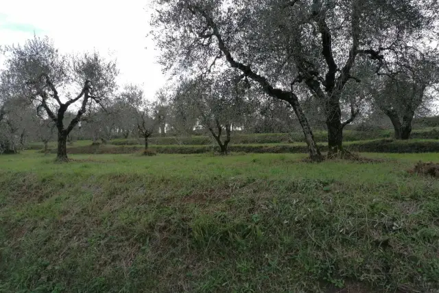 Terreno agricolo in {3}, Via del Pino - Foto 1