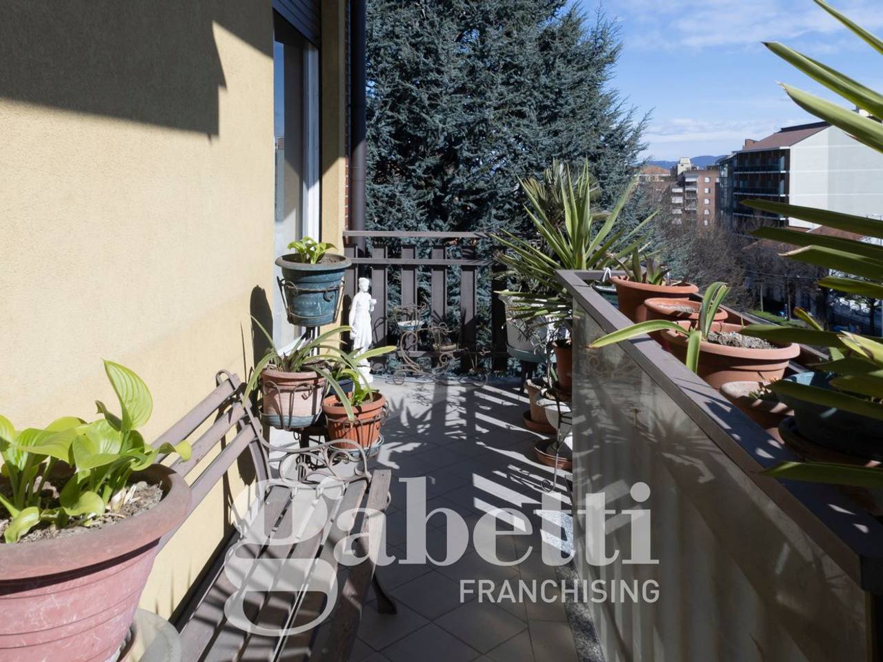 immagine annuncio 12 di 15