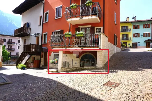 insertion image