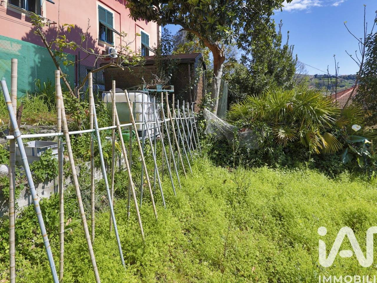 immagine annuncio 2 di 15