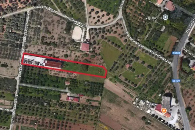 insertion image