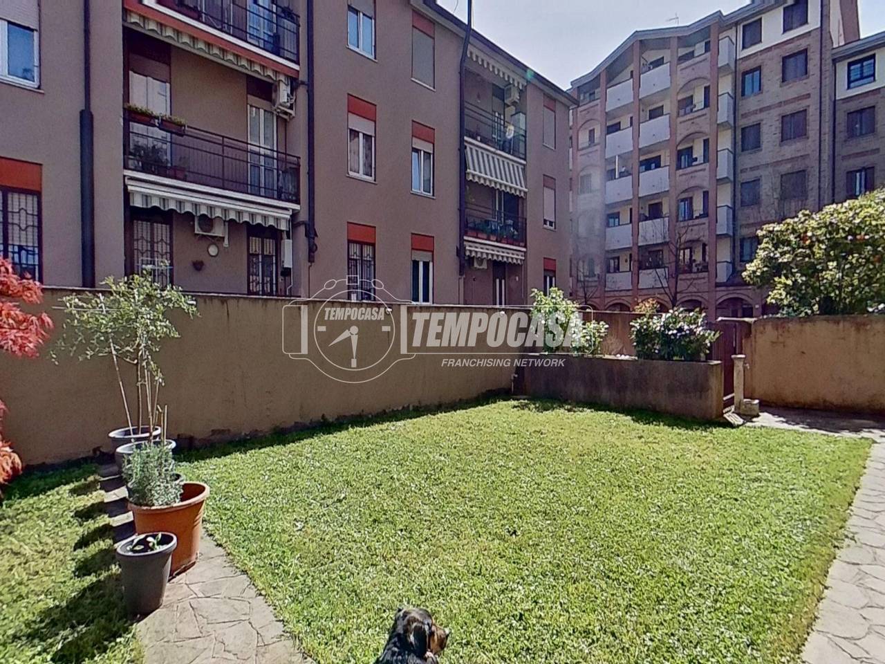 immagine annuncio 10 di 15