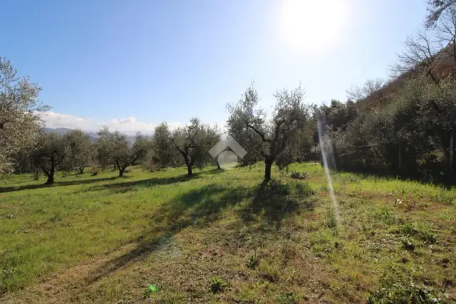insertion image