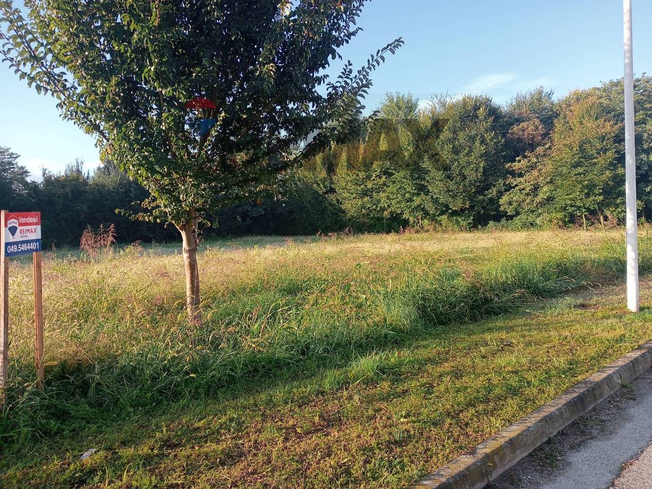 immagine annuncio 6 di 9