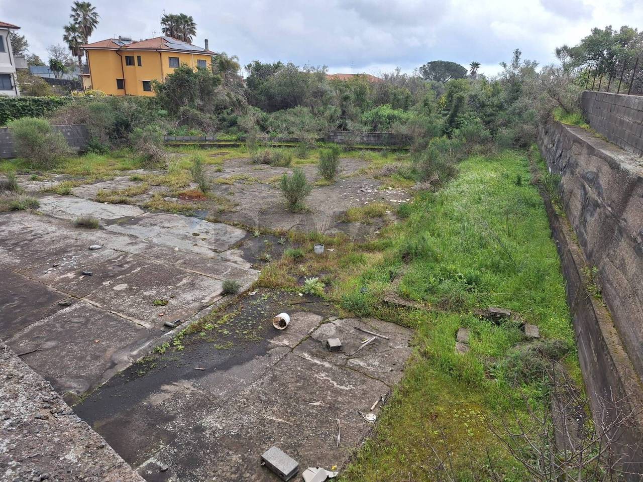 immagine annuncio 8 di 9