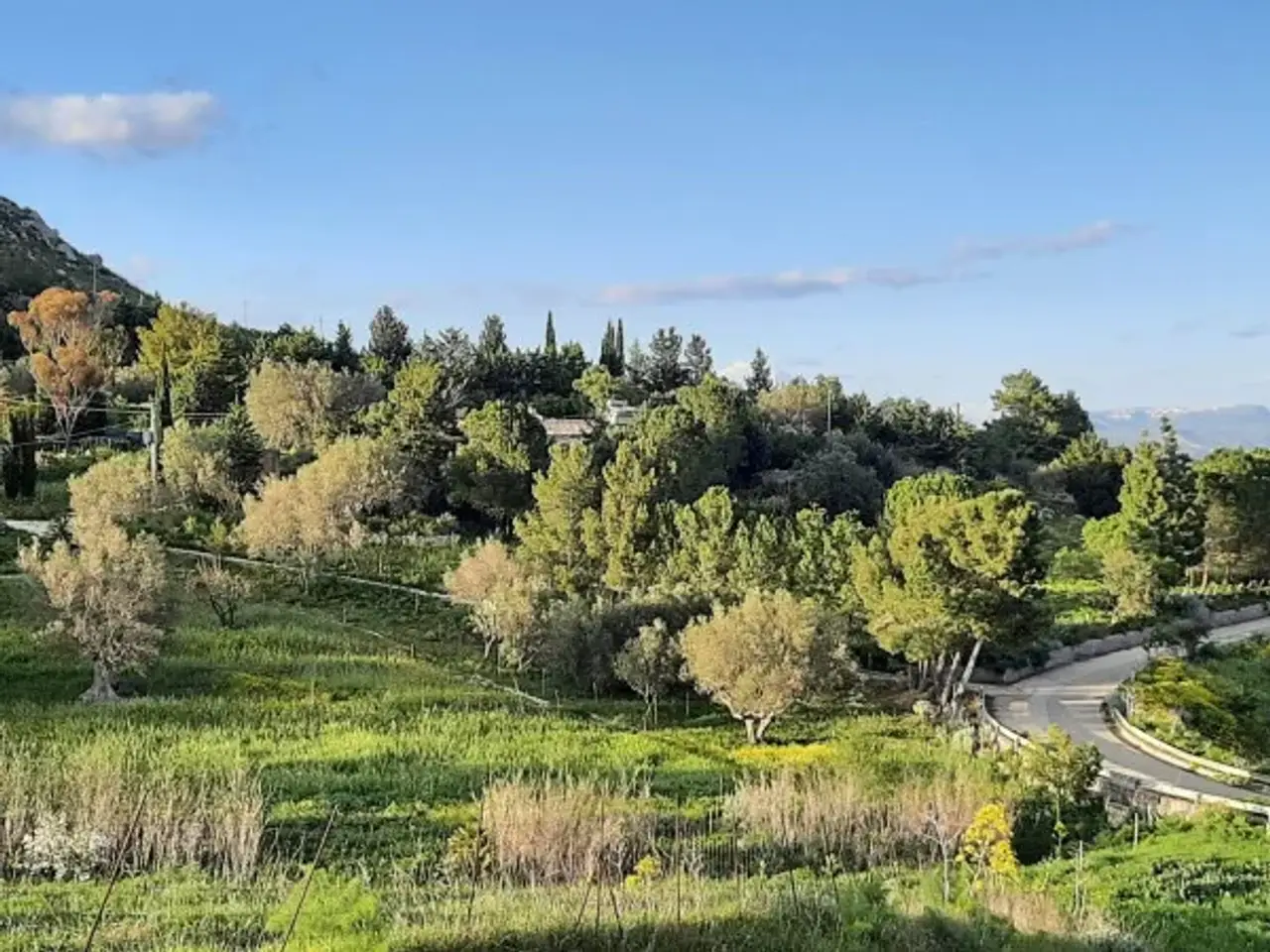 Negozio in Contrada Caprara, Pietraperzia, {3} - Foto 2