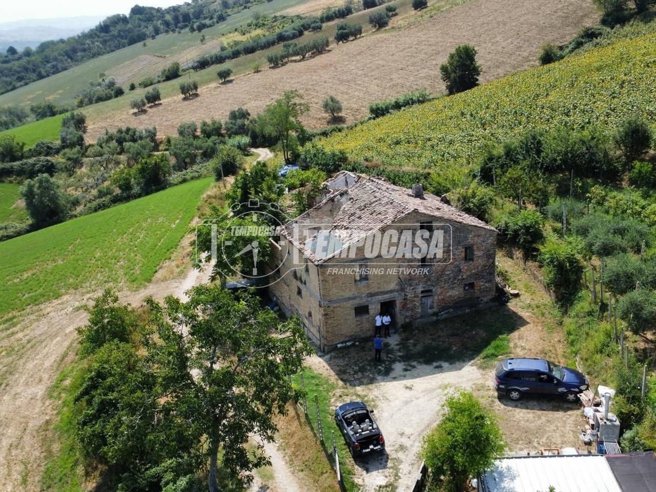 immagine annuncio 9 di 13
