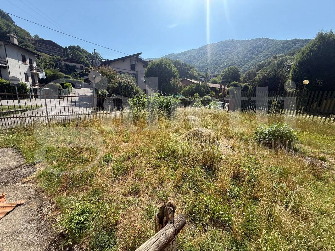immagine annuncio 5 di 14