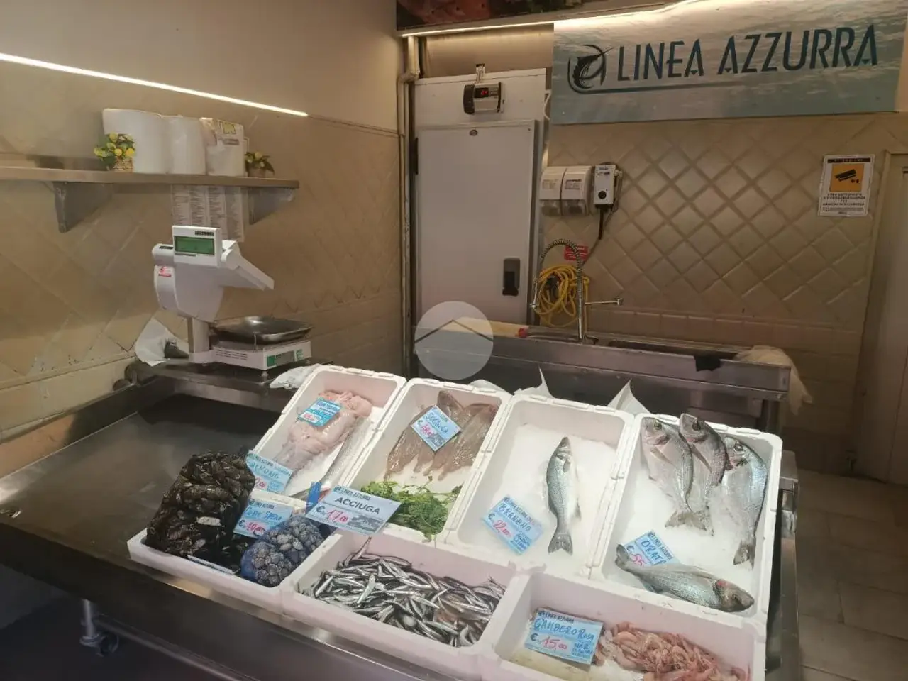 Negozio in Via Isonzo, Genova, {3} - Foto 2