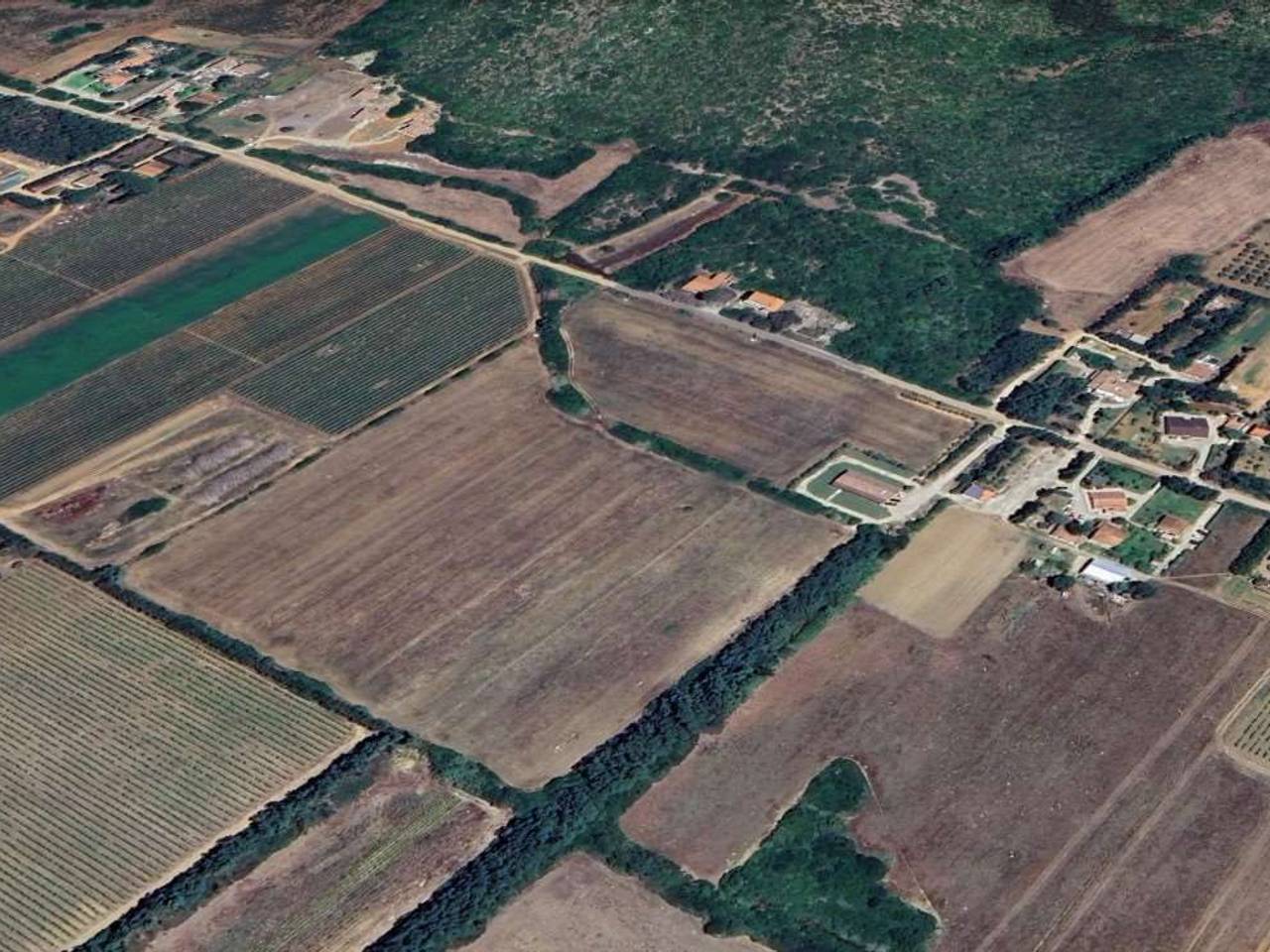 immagine annuncio 13 di 14