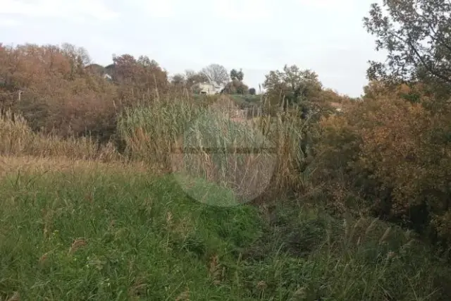 insertion image