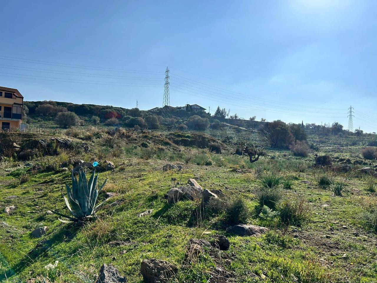 immagine annuncio 14 di 15