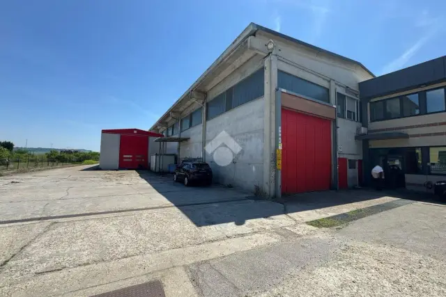 insertion image