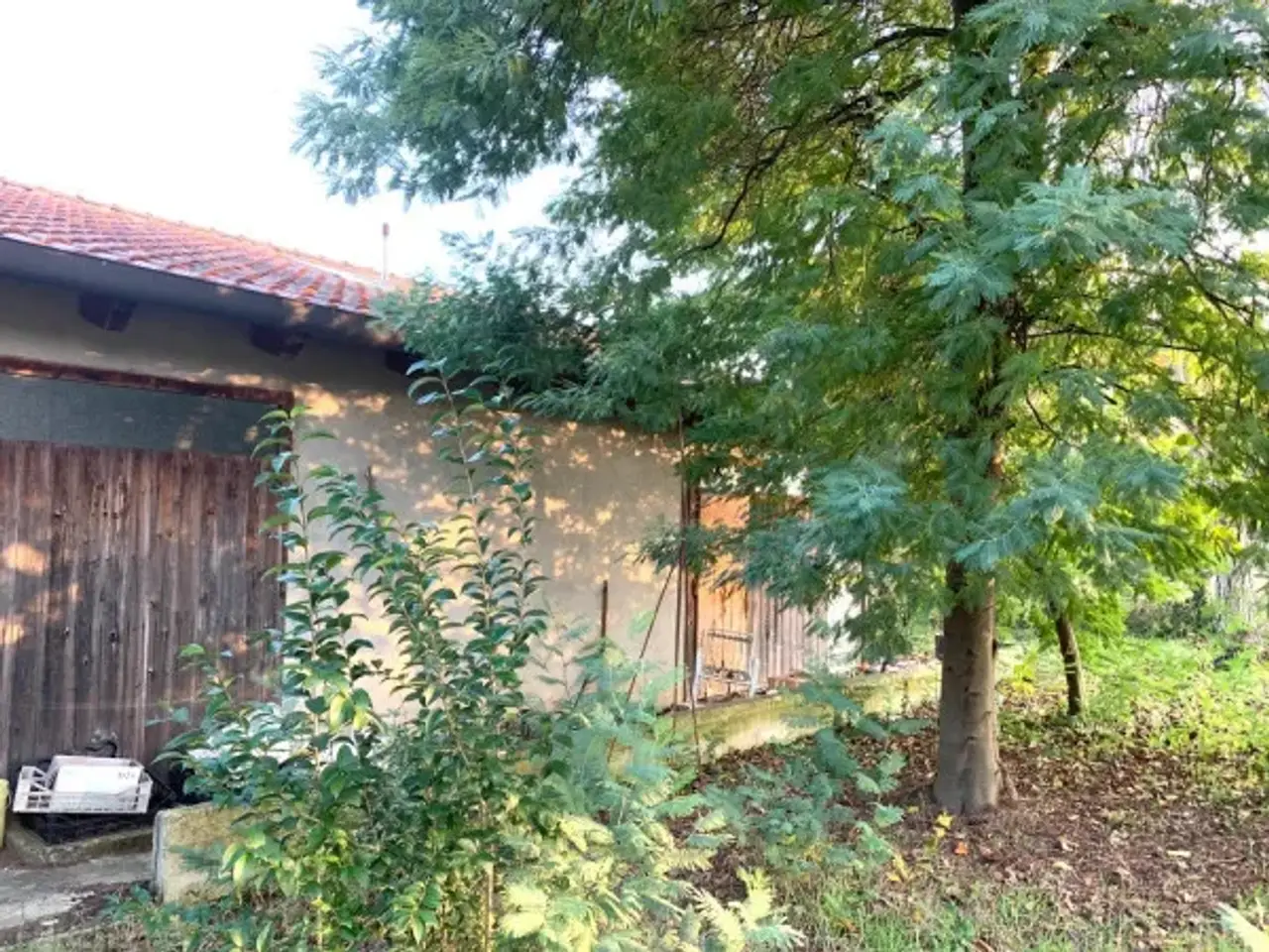 Magazzino in Via Tazio Nuvolari, Misano Adriatico, {3} - Foto 1
