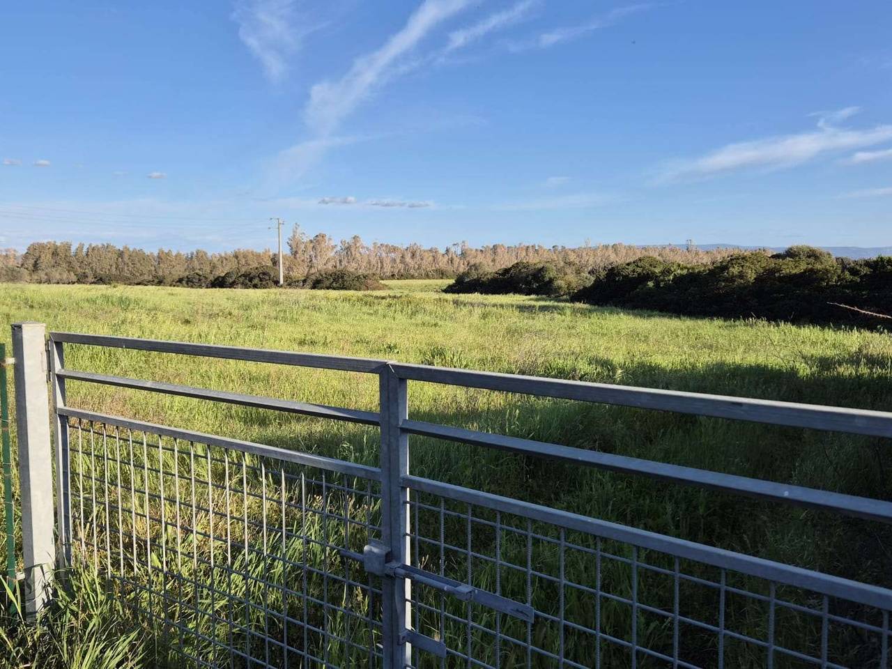 immagine annuncio 6 di 14