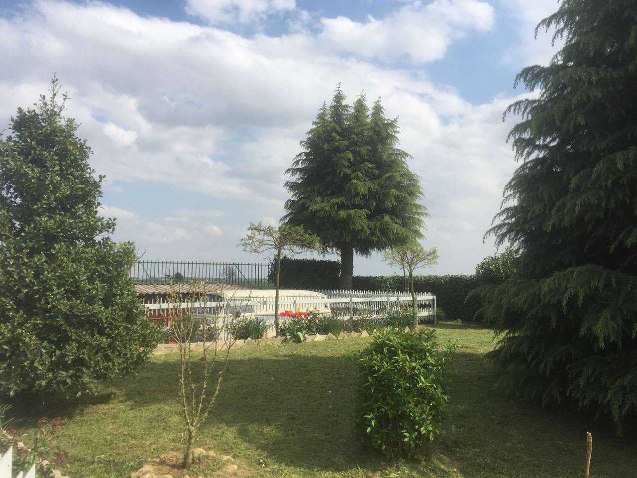 immagine annuncio 9 di 14