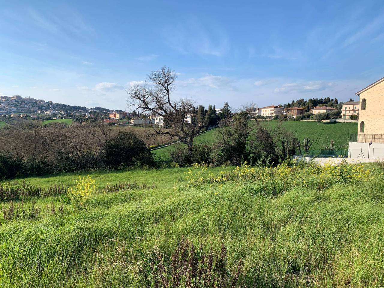 immagine annuncio 7 di 11