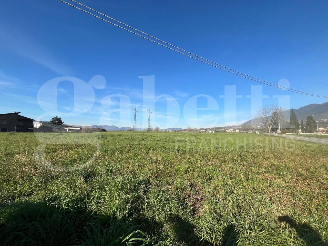 immagine annuncio 2 di 6