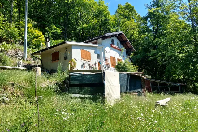 insertion image