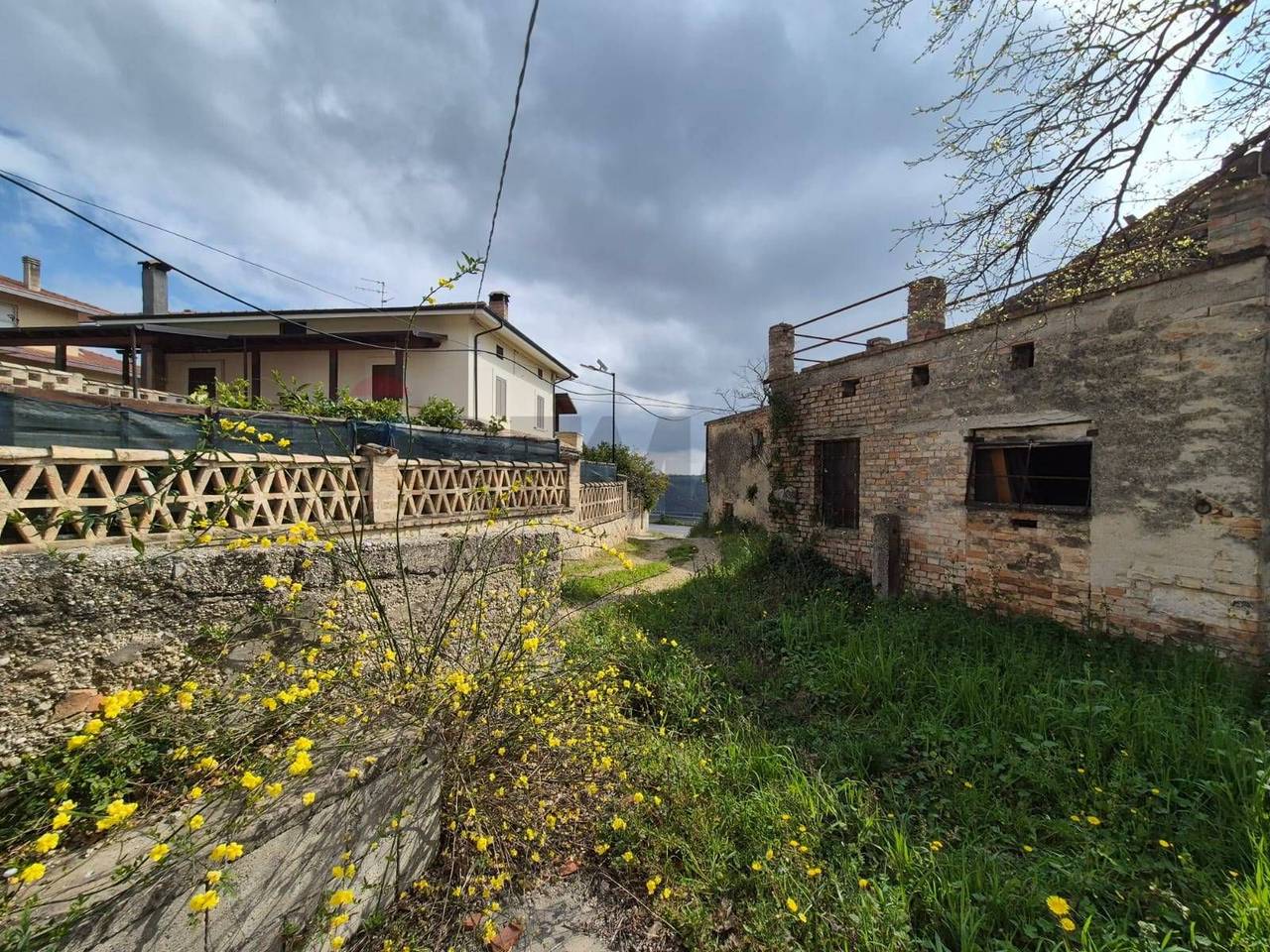 immagine annuncio 1 di 11