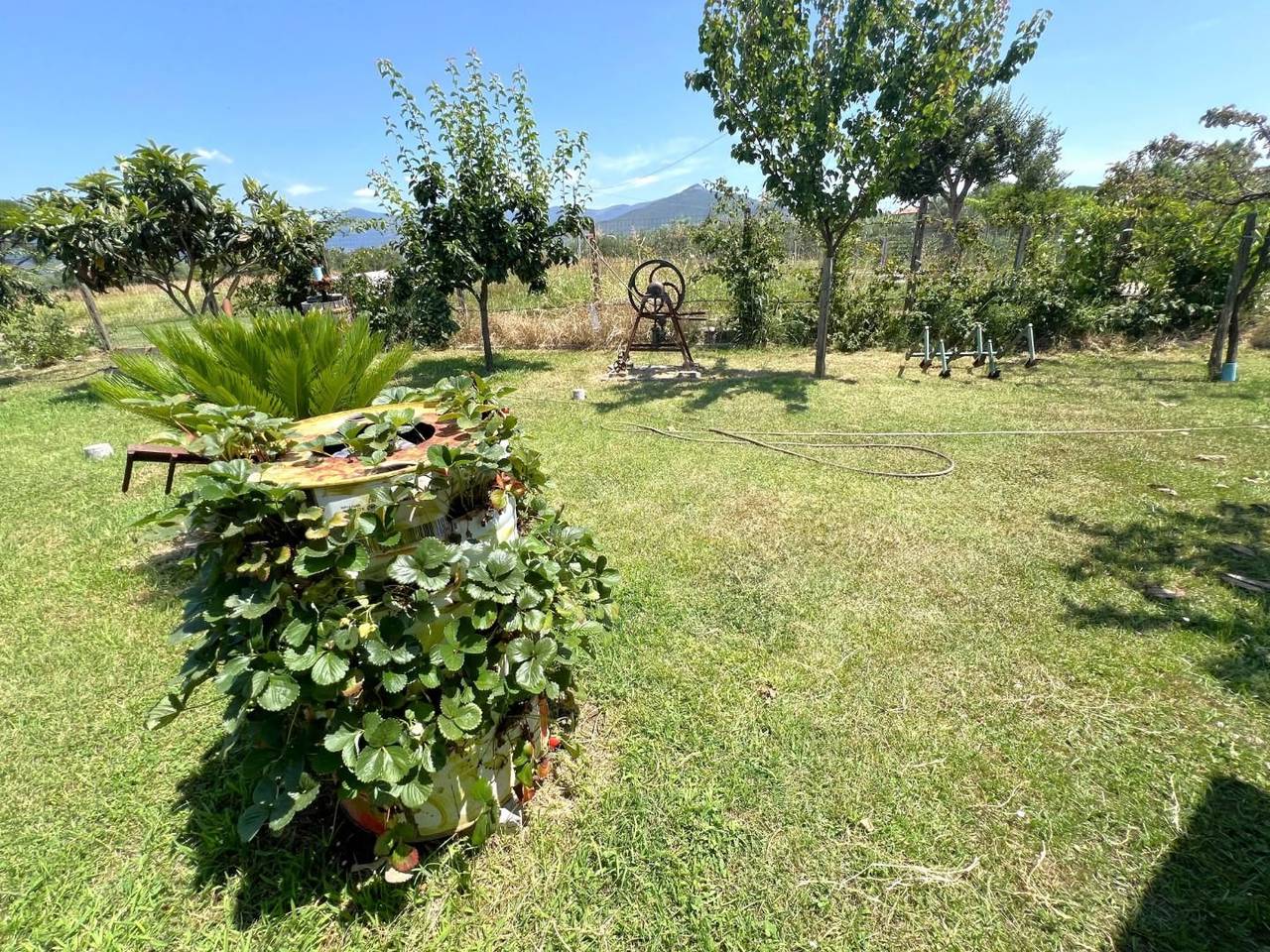 immagine annuncio 4 di 13