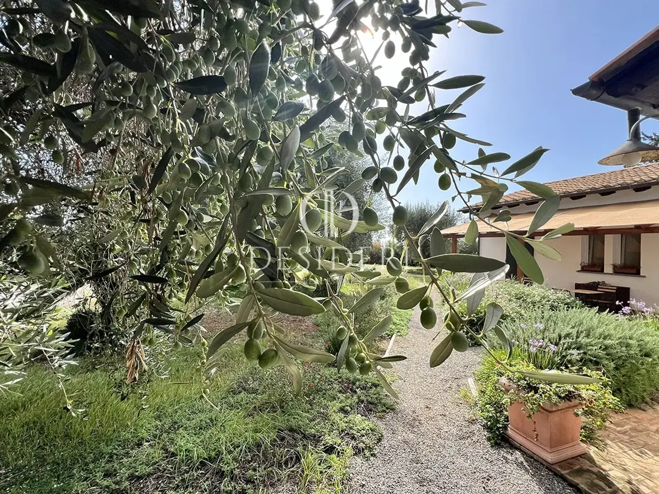 Agriturismo in Strada della Vittoria 58011 Capalbio, Capalbio, {3} - Foto 1
