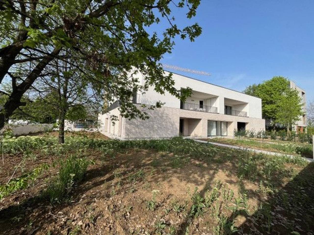 immagine annuncio 3 di 8