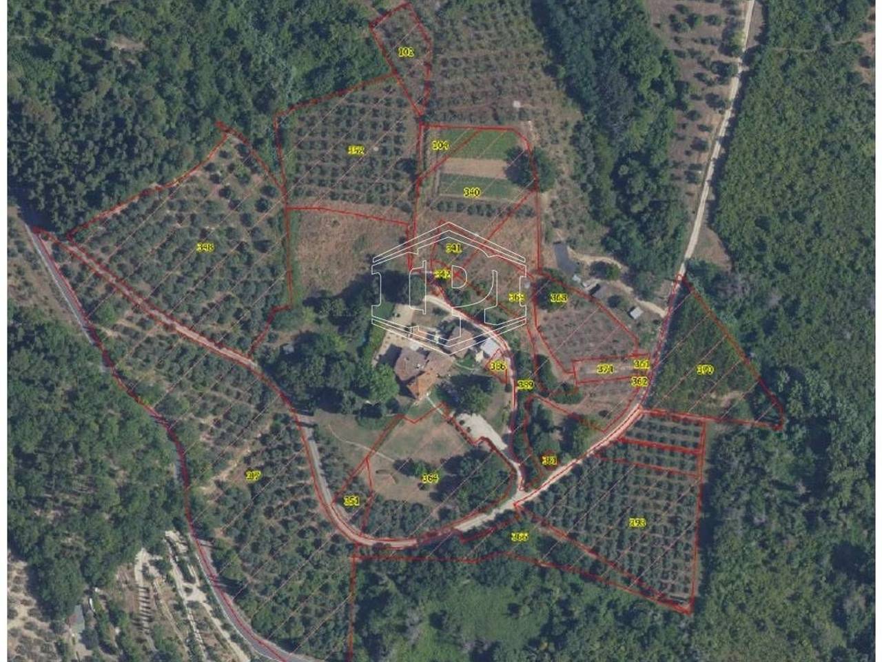 immagine annuncio 5 di 7