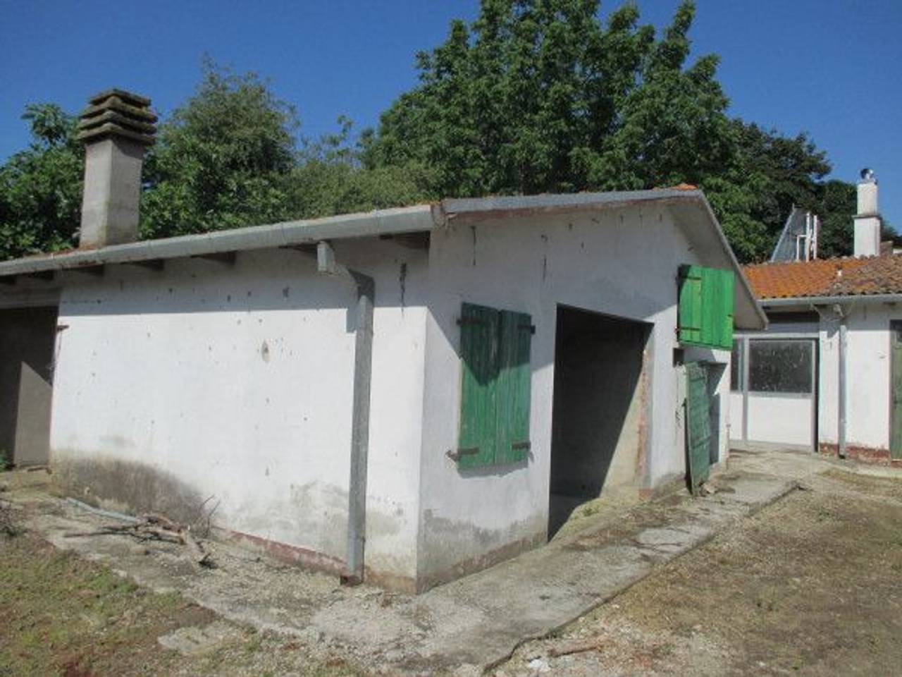 immagine annuncio 1 di 11