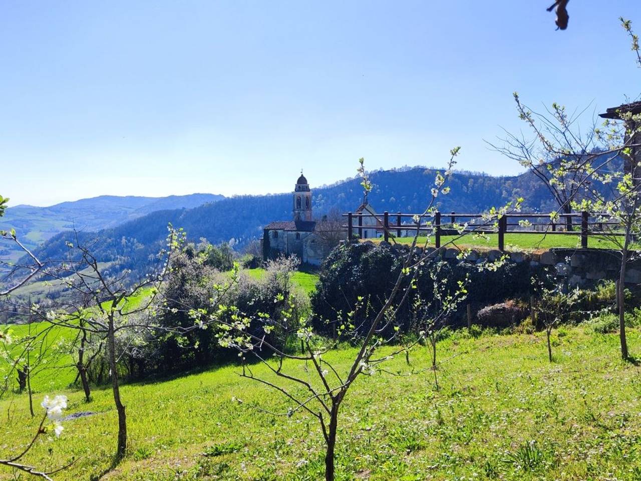 immagine annuncio 7 di 12