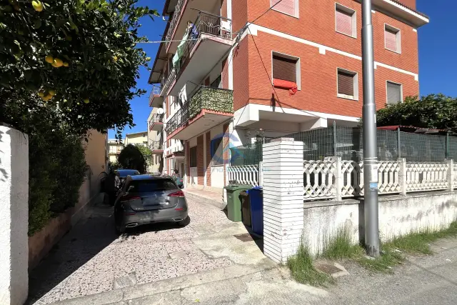 insertion image