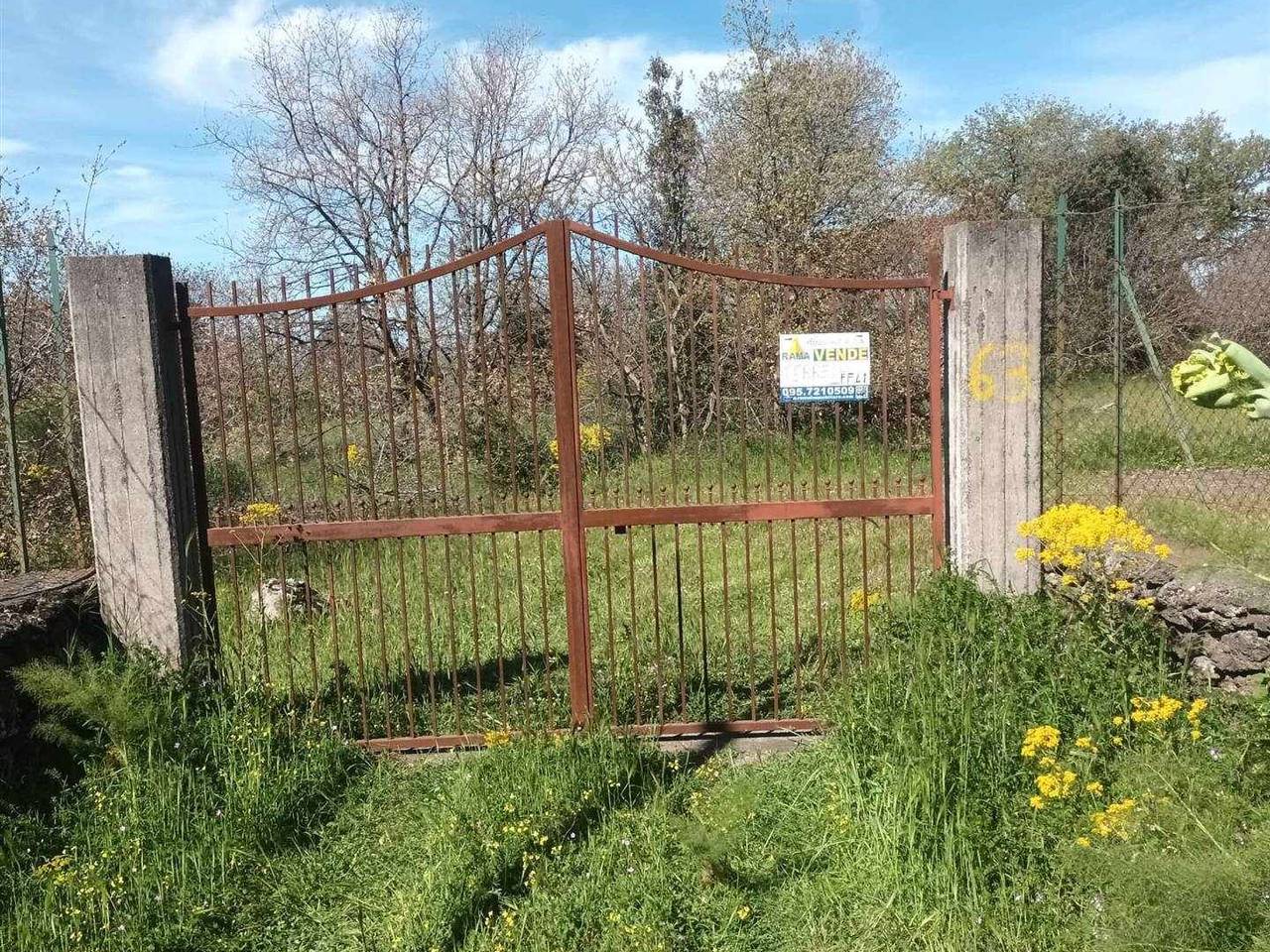 immagine annuncio 6 di 13