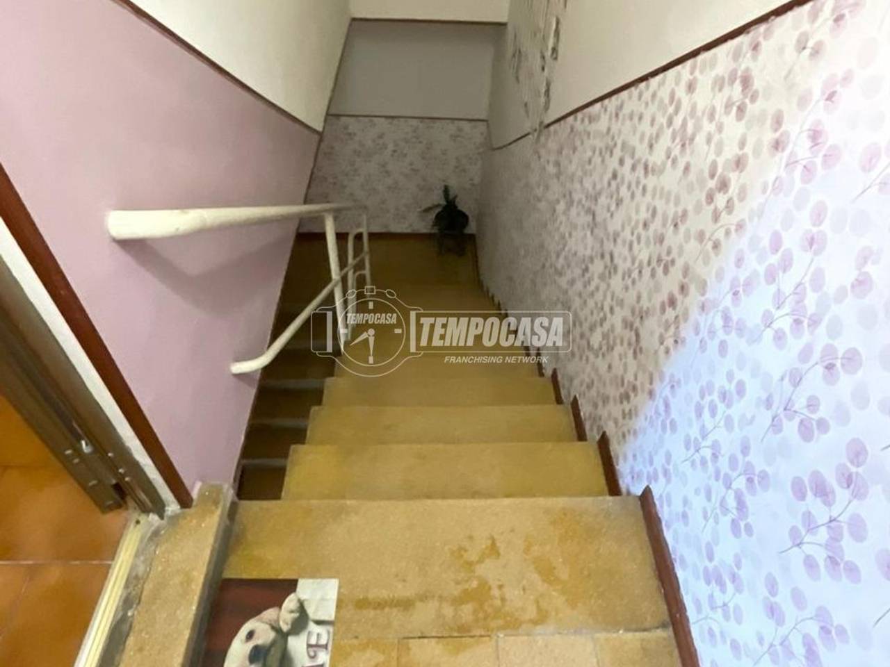 immagine annuncio 6 di 9