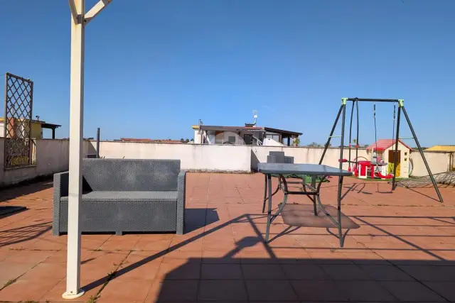 insertion image