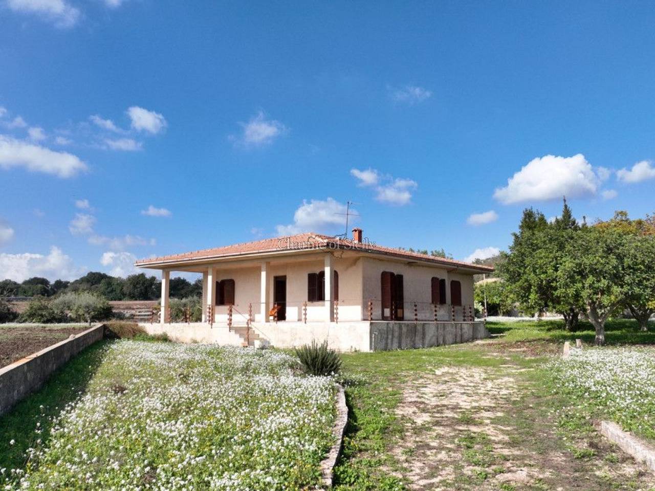 immagine annuncio 9 di 11