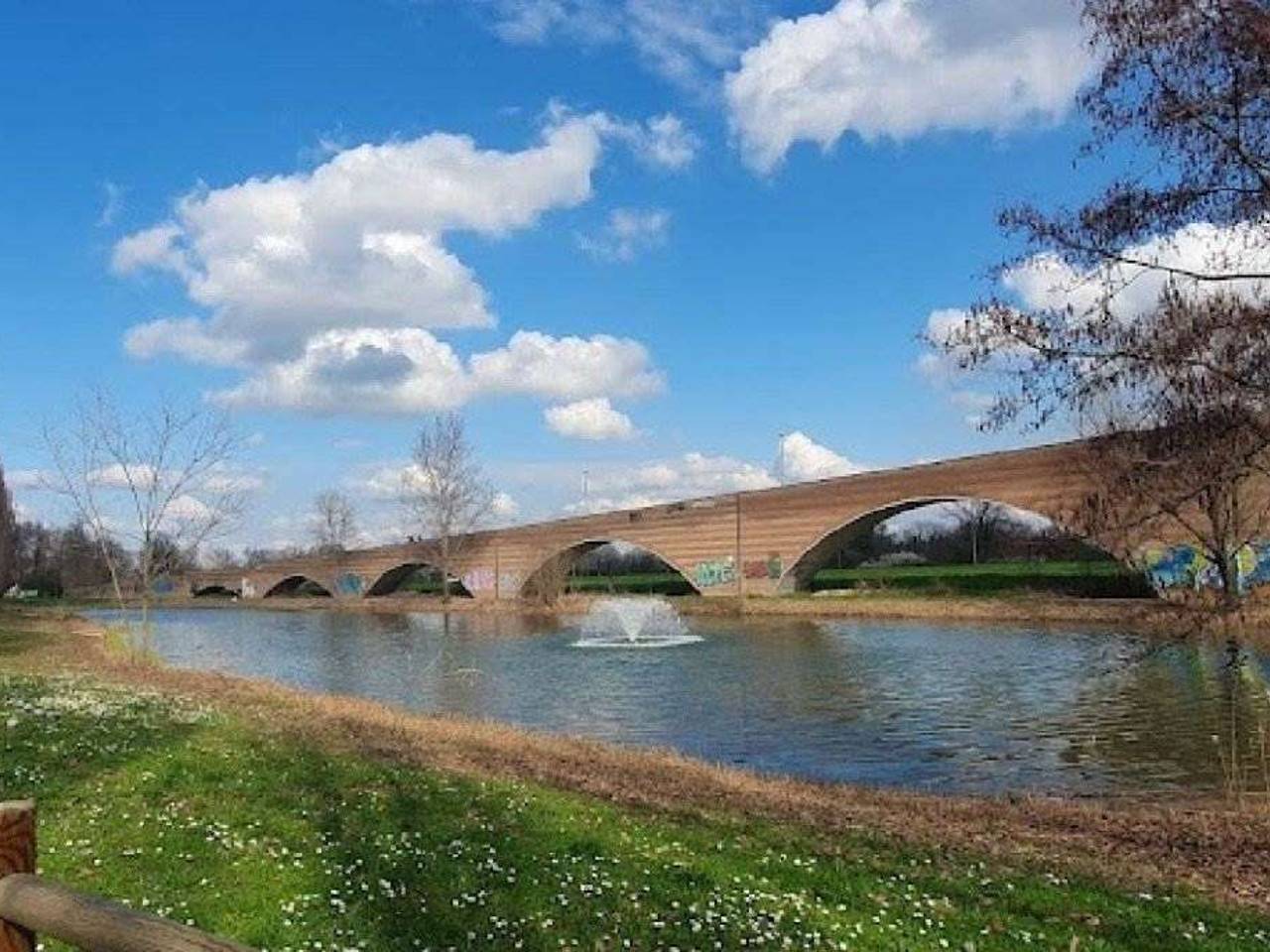 immagine annuncio 5 di 9