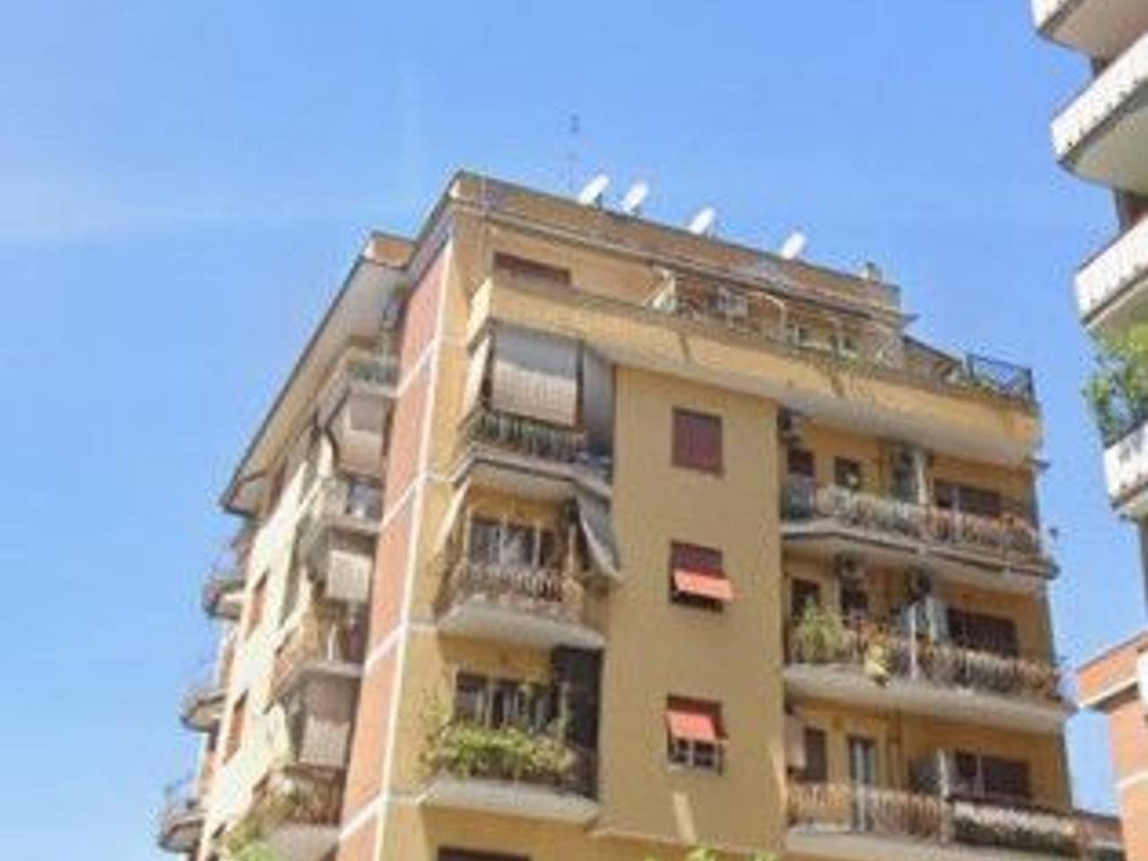 immagine annuncio 12 di 15