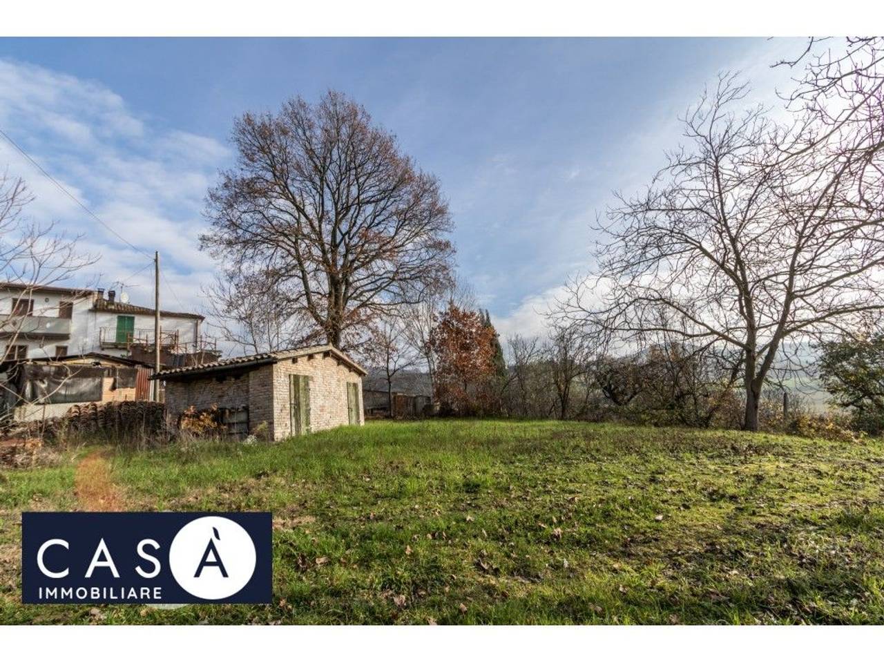 immagine annuncio 7 di 11