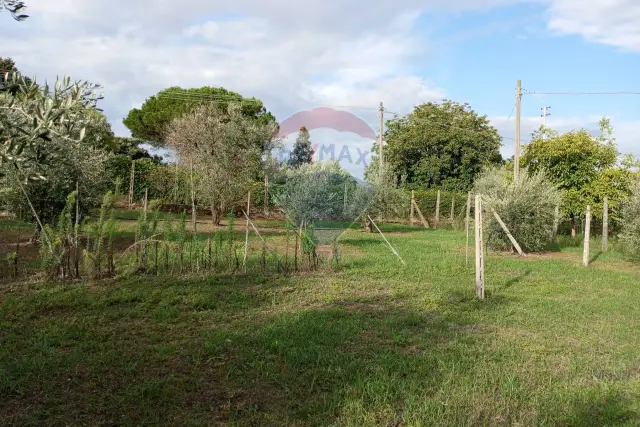 Terreno agricolo in Località Castrucci, Marino - Foto 1