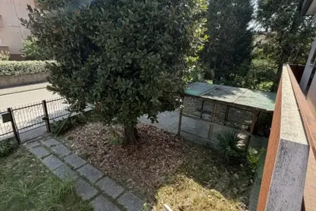 insertion image