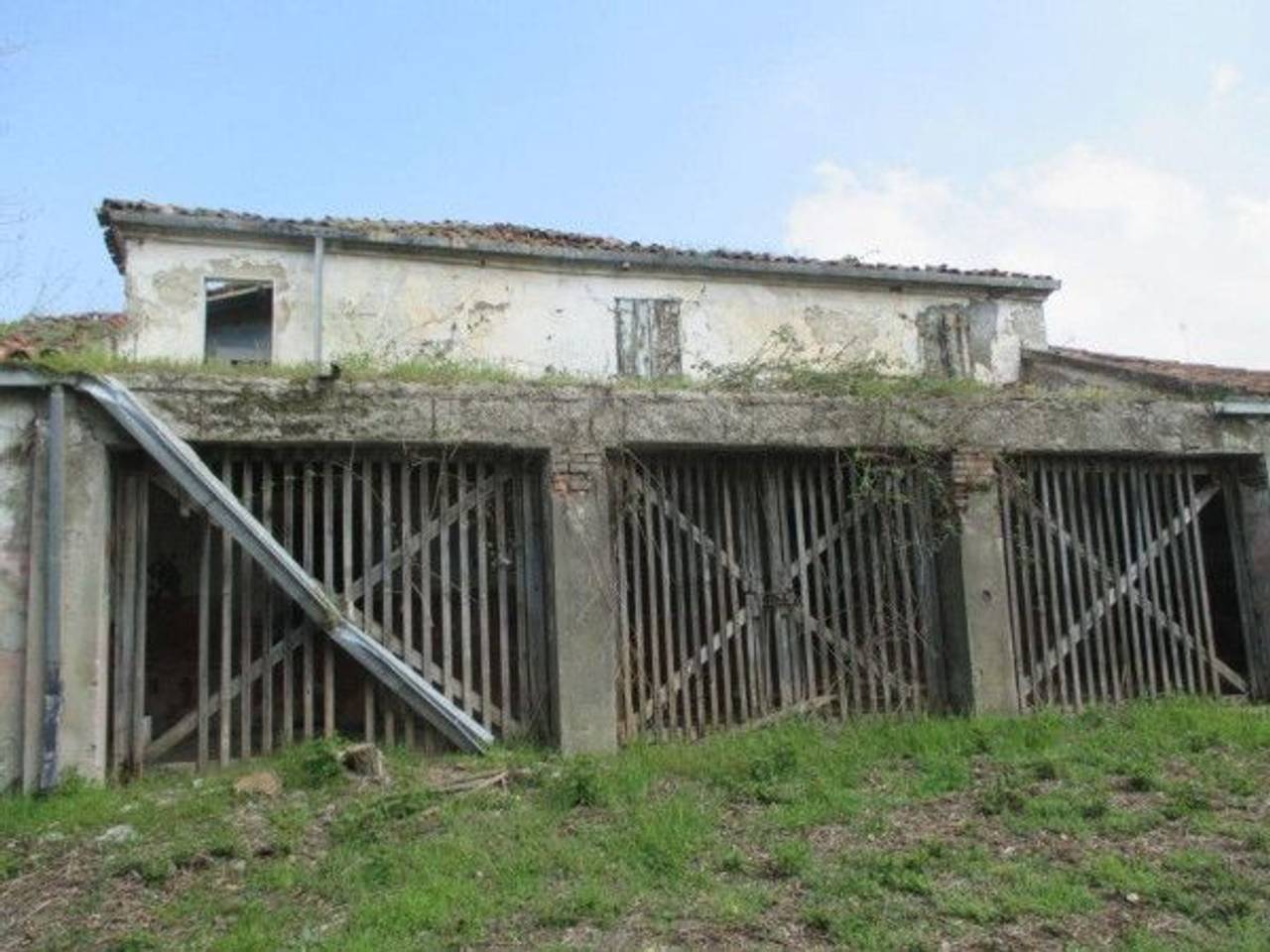 immagine annuncio 6 di 8