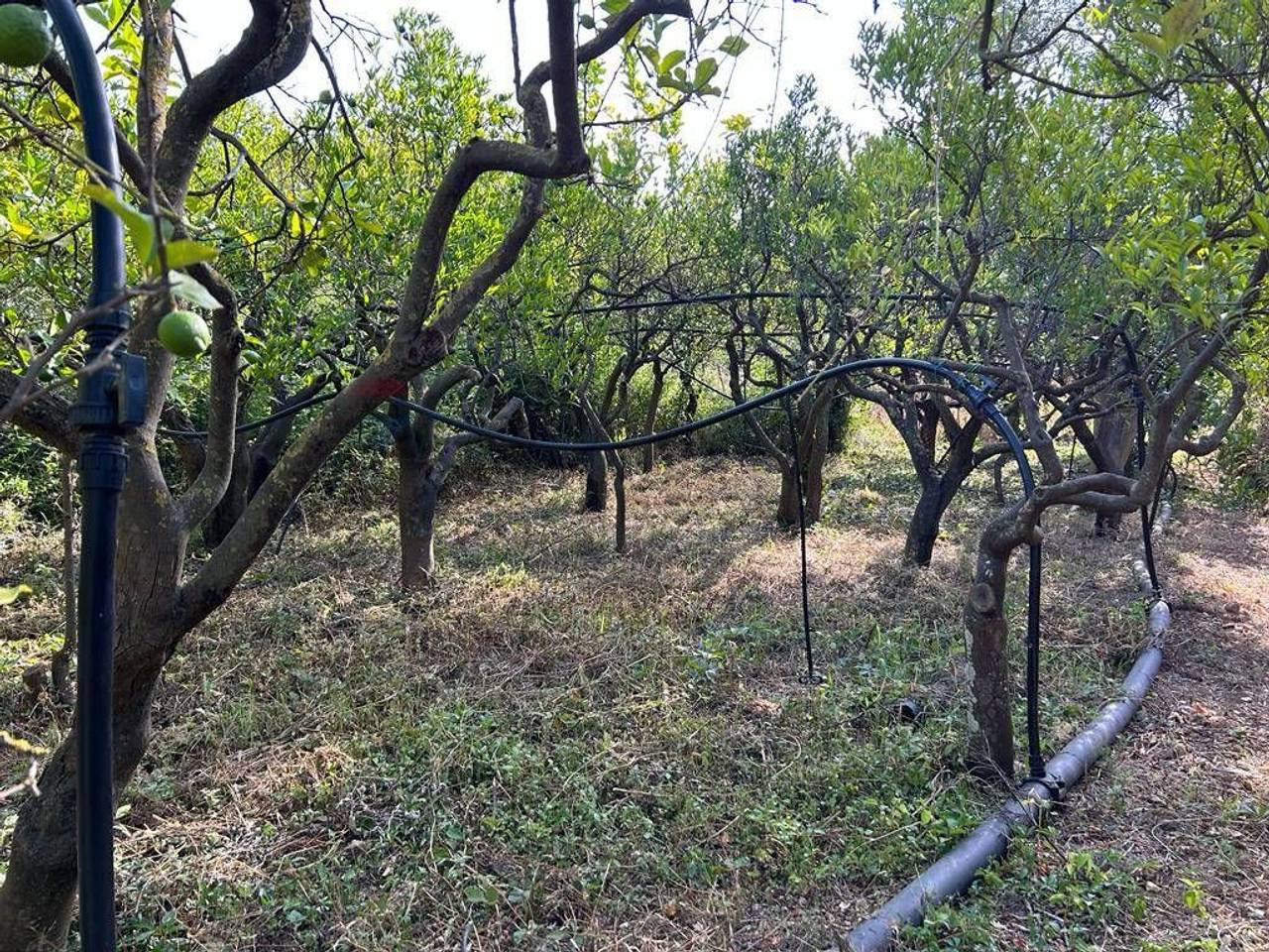 immagine annuncio 5 di 12