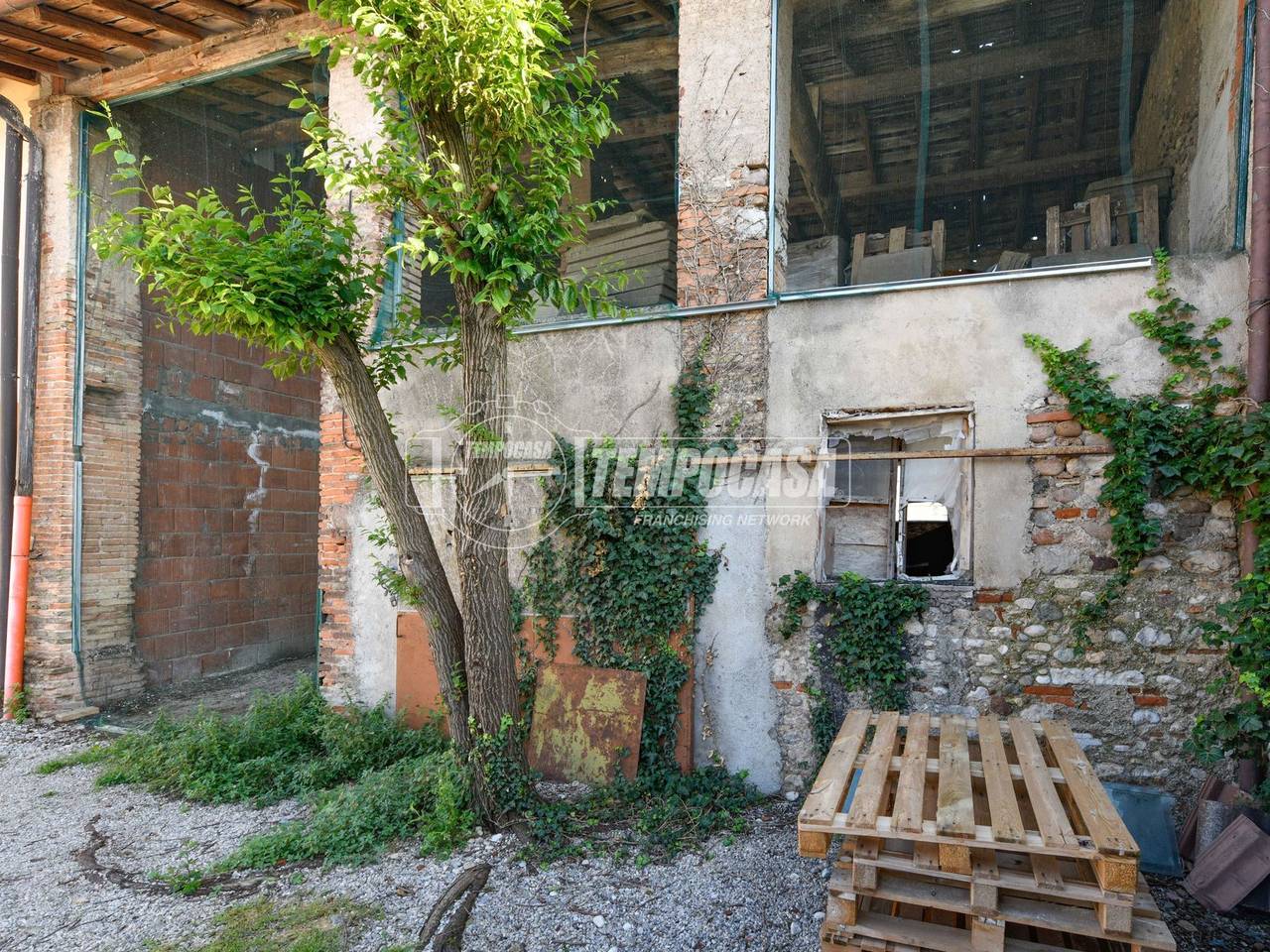 immagine annuncio 9 di 12