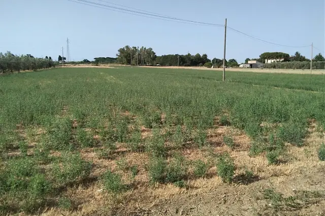 Terreno agricolo in {3}, Via della Monaca - Foto 1