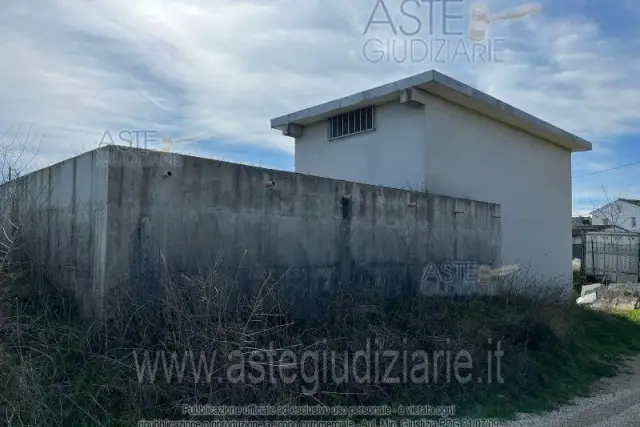 insertion image