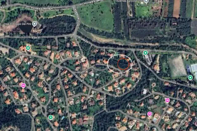 insertion image