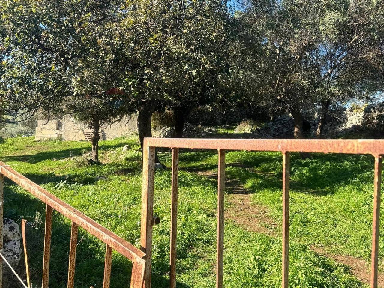 immagine annuncio 10 di 14