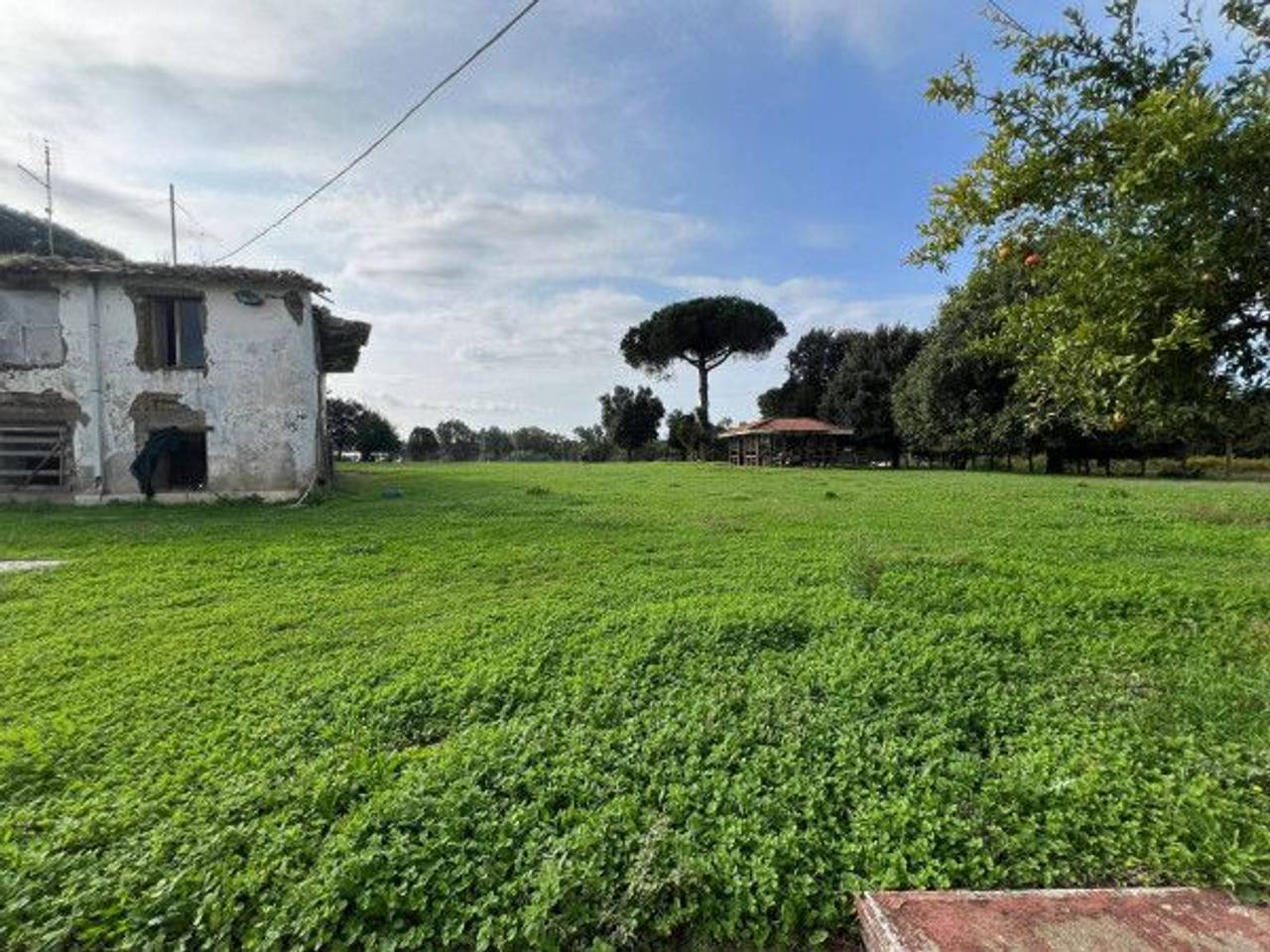 immagine annuncio 2 di 12