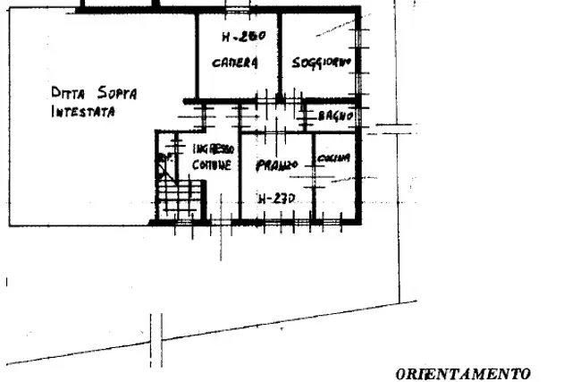 main planimetry real estate image